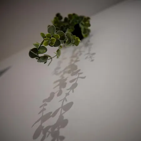 Zenkaserenity 2- 3 Min Gare-iut-centre, Confort *